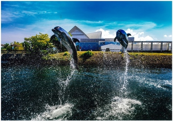 【ＧＷ限定！水族館チケット付き】いおワールドでＧＷ満喫プラン